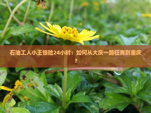 石油工人小王惊险24小时：如何从大庆一路狂奔到重庆？