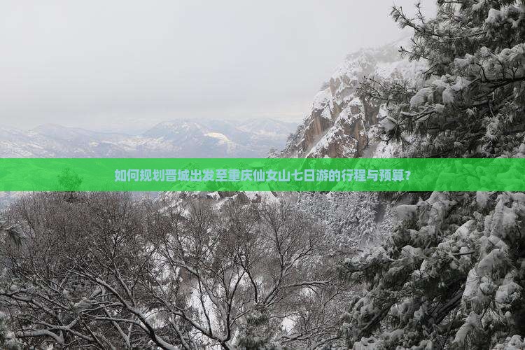 如何规划晋城出发至重庆仙女山七日游的行程与预算？