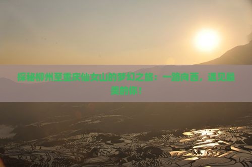 探秘柳州至重庆仙女山的梦幻之旅：一路向西，遇见最美的你！