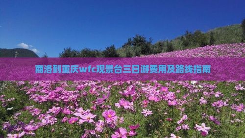 商洛到重庆wfc观景台三日游费用及路线指南