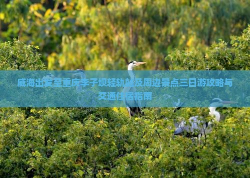 威海出发至重庆李子坝轻轨站及周边景点三日游攻略与交通住宿指南