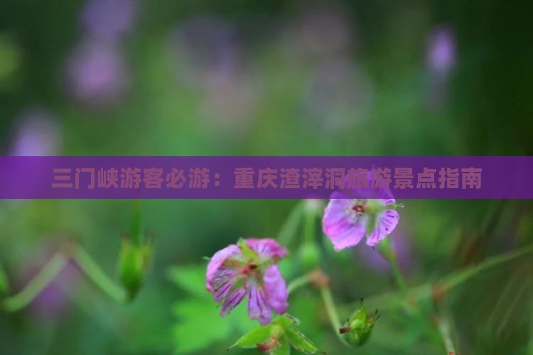 三门峡游客必游：重庆渣滓洞旅游景点指南