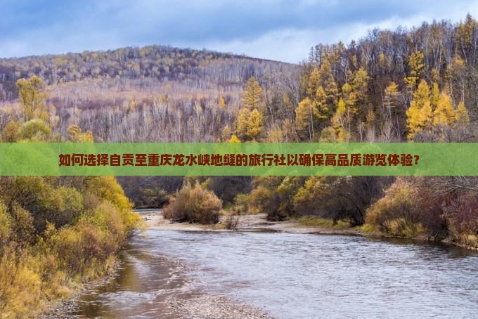 如何选择自贡至重庆龙水峡地缝的旅行社以确保高品质游览体验？