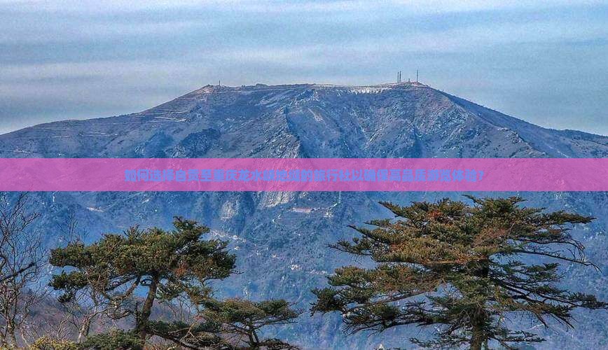 如何选择自贡至重庆龙水峡地缝的旅行社以确保高品质游览体验？