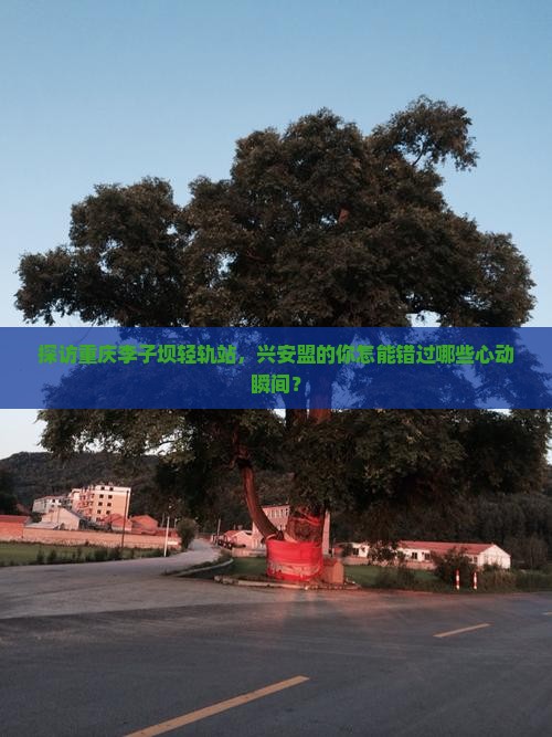 探访重庆李子坝轻轨站，兴安盟的你怎能错过哪些心动瞬间？
