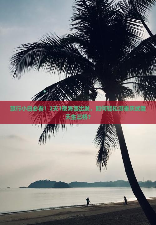 旅行小白必看！2天1夜海西出发，如何轻松游重庆武隆天生三桥？