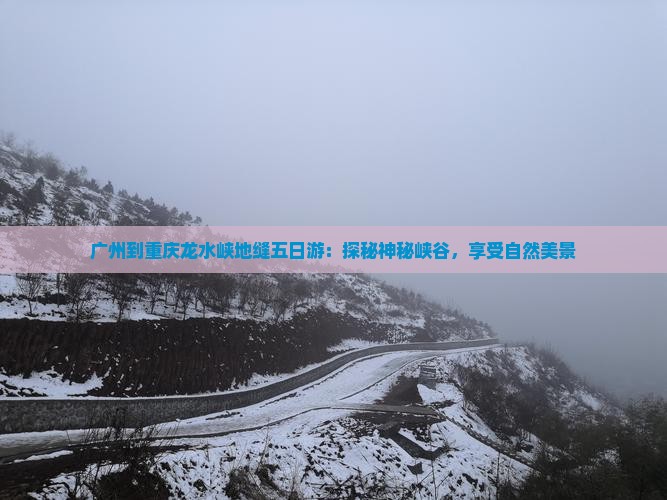 广州到重庆龙水峡地缝五日游：探秘神秘峡谷，享受自然美景