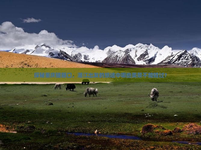 探秘重庆磁器口，湛江出发的旅途中哪些美景不能错过？