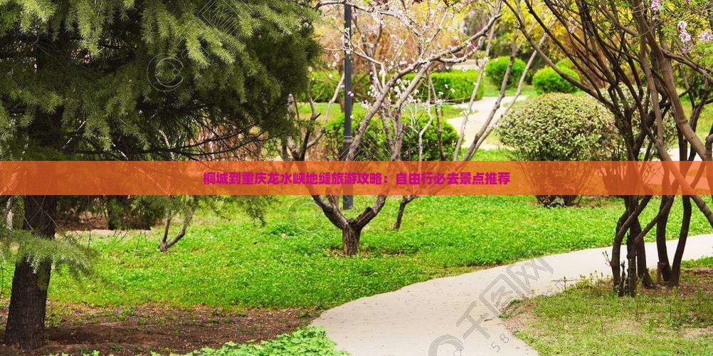 桐城到重庆龙水峡地缝旅游攻略：自由行必去景点推荐