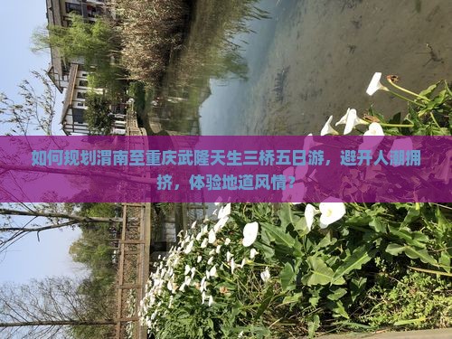 如何规划渭南至重庆武隆天生三桥五日游，避开人潮拥挤，体验地道风情？