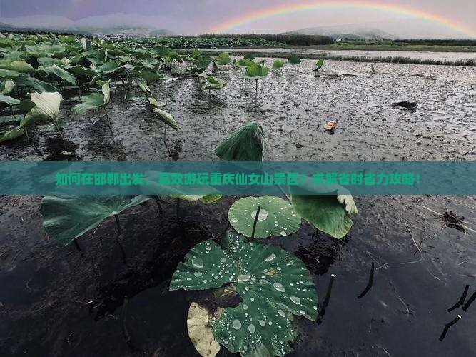 如何在邯郸出发，高效游玩重庆仙女山景区？求解省时省力攻略！