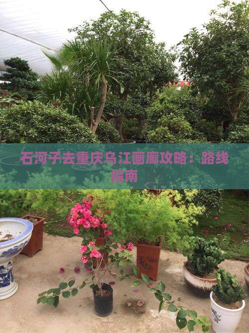 石河子去重庆乌江画廊攻略：路线指南