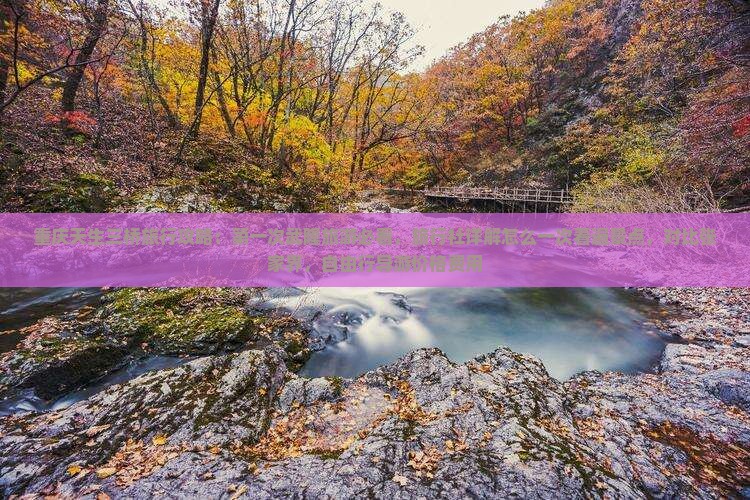 重庆天生三桥旅行攻略：第一次武隆旅游必看，旅行社详解怎么一次看遍景点，对比张家界，自由行导游价格费用