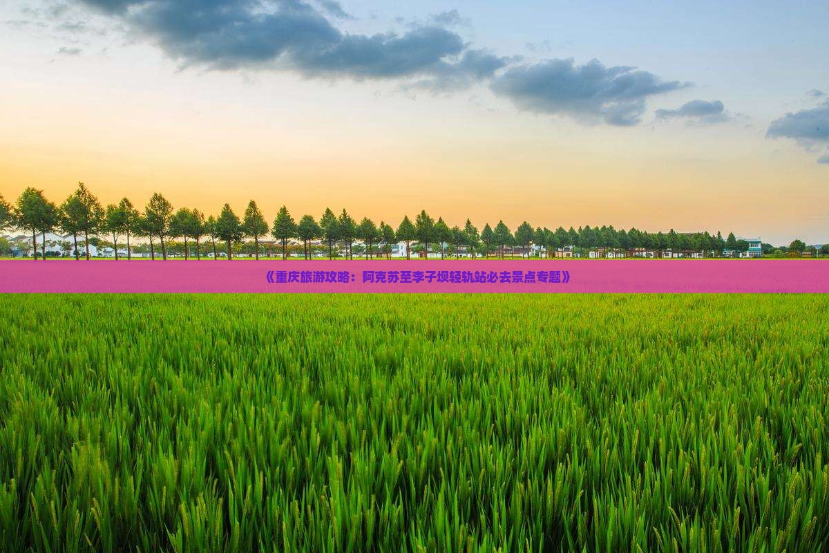 《重庆旅游攻略：阿克苏至李子坝轻轨站必去景点专题》