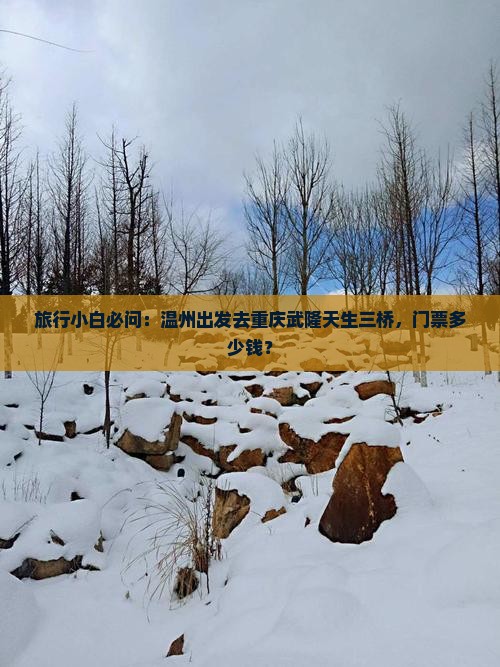 旅行小白必问：温州出发去重庆武隆天生三桥，门票多少钱？
