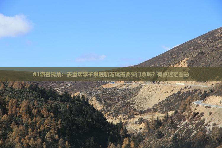 #1游客视角：去重庆李子坝轻轨站玩需要买门票吗？有点迷茫着急