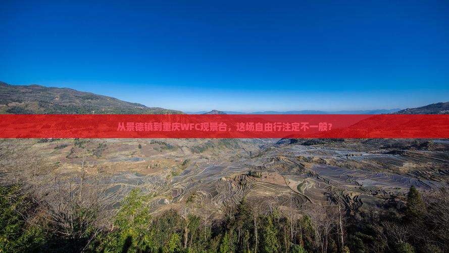 从景德镇到重庆WFC观景台，这场自由行注定不一般？
