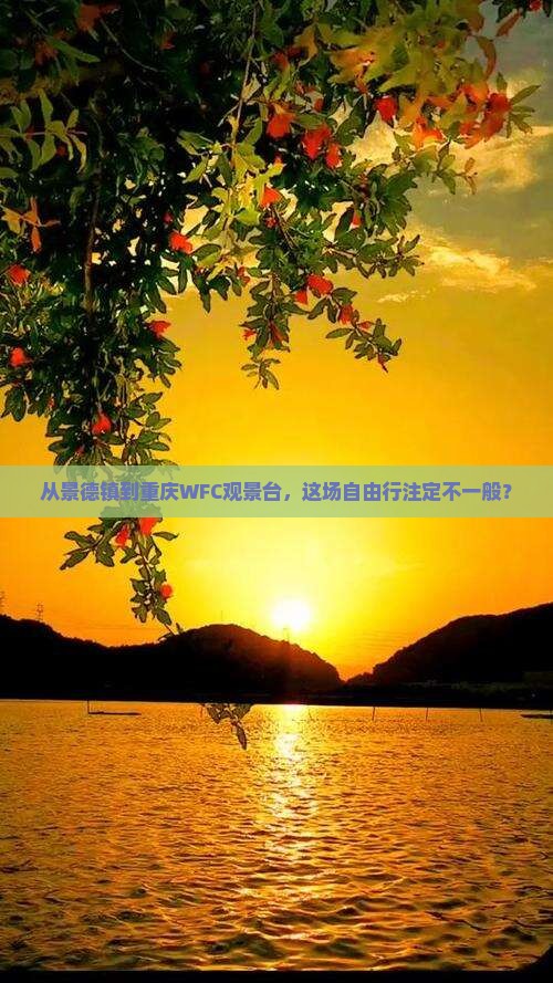 从景德镇到重庆WFC观景台，这场自由行注定不一般？