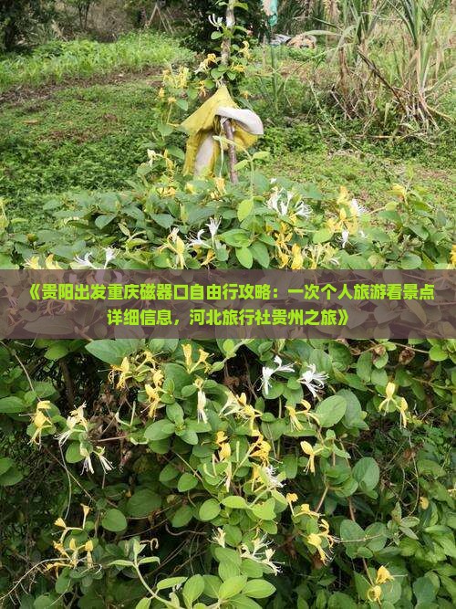 《贵阳出发重庆磁器口自由行攻略：一次个人旅游看景点详细信息，河北旅行社贵州之旅》