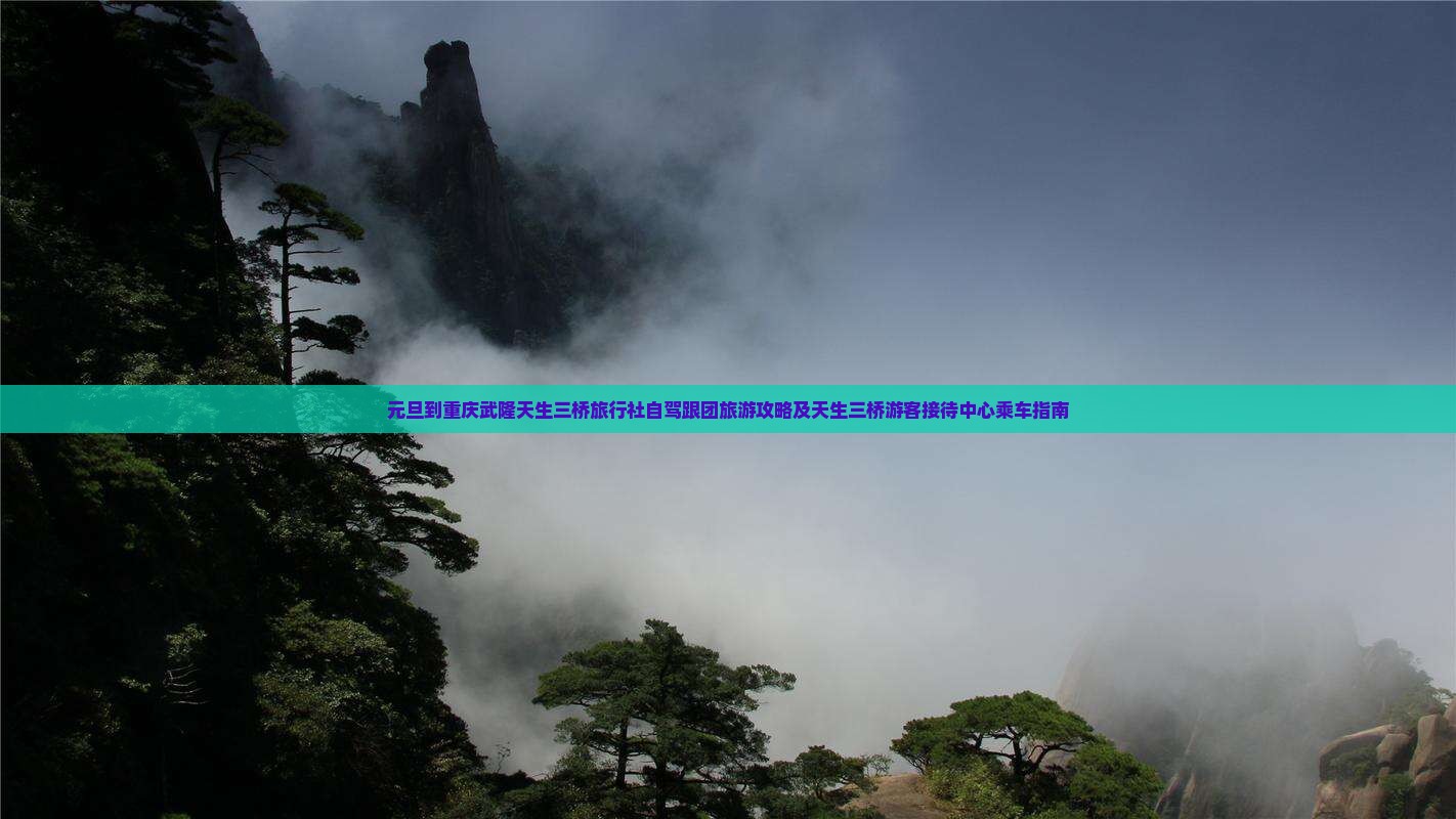 元旦到重庆武隆天生三桥旅行社自驾跟团旅游攻略及天生三桥游客接待中心乘车指南