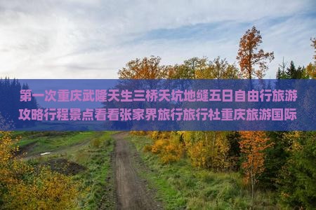 第一次重庆武隆天生三桥天坑地缝五日自由行旅游攻略行程景点看看张家界旅行旅行社重庆旅游国际武隆天坑