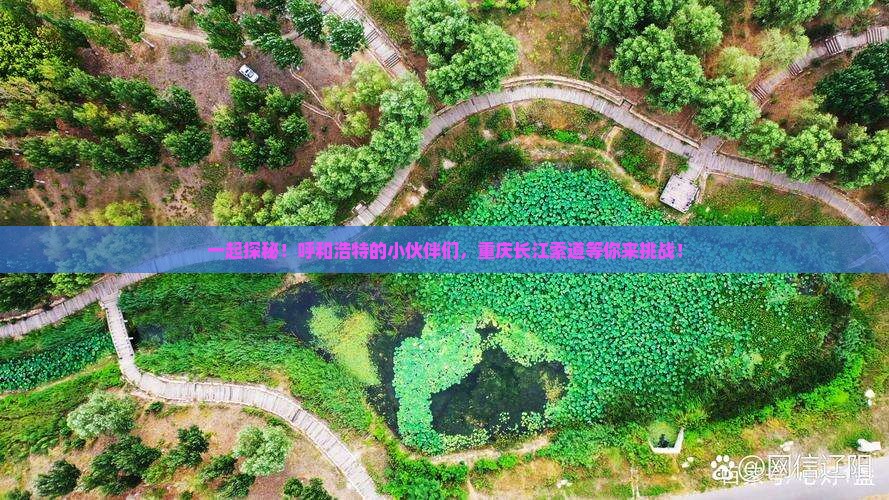 一起探秘！呼和浩特的小伙伴们，重庆长江索道等你来挑战！