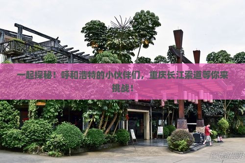 一起探秘！呼和浩特的小伙伴们，重庆长江索道等你来挑战！