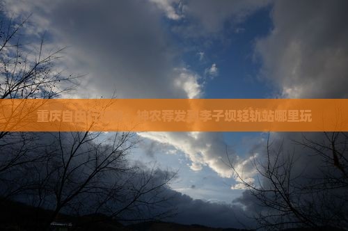 重庆自由行攻略：神农荐发到李子坝轻轨站哪里玩