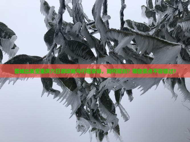 晋城出发至重庆六日游攻略与行程安排，如何规划？哪些景点不容错过？