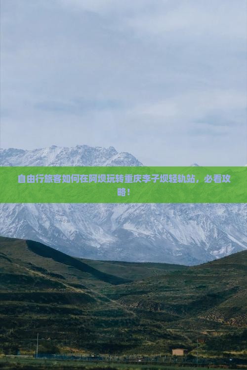自由行旅客如何在阿坝玩转重庆李子坝轻轨站，必看攻略！