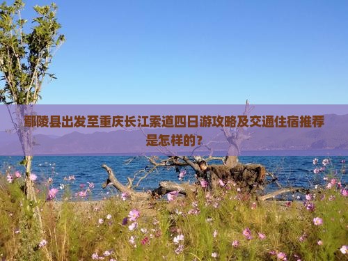 鄢陵县出发至重庆长江索道四日游攻略及交通住宿推荐是怎样的？