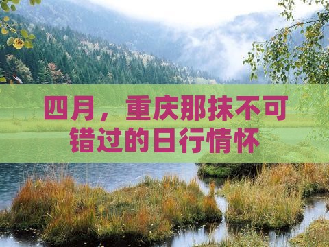 四月，重庆那抹不可错过的日行情怀