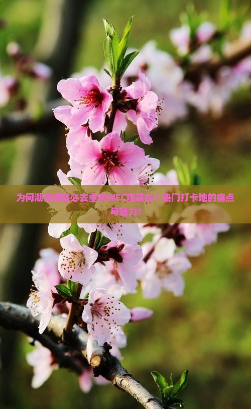 为何湖州游客必去重庆WFC观景台？热门打卡地的痛点与魅力！