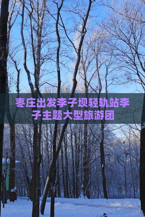 枣庄出发李子坝轻轨站李子主题大型旅游团
