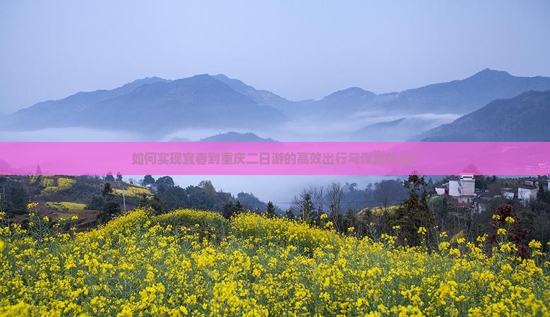 如何实现宜春到重庆二日游的高效出行与深度体验？