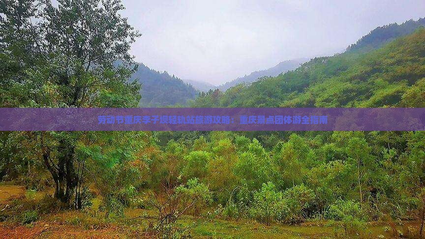 劳动节重庆李子坝轻轨站旅游攻略：重庆景点团体游全指南