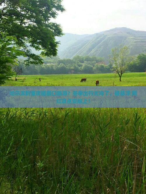 哈尔滨到重庆磁器口旅游？冬季出行太冷了，磁悬浮+网红景点安排上！