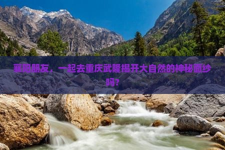 襄阳朋友，一起去重庆武隆揭开大自然的神秘面纱吗？