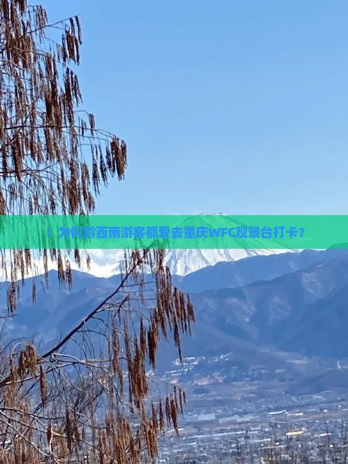 ！为何黔西南游客都爱去重庆WFC观景台打卡？
