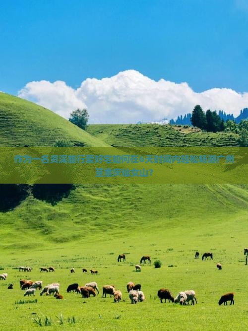 作为一名资深旅行爱好宅如何在6天时间内轻松畅游广州至重庆仙女山？