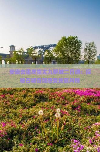 安康去重庆蚩尤九黎城二日游：探秘古城奇观感受民族风情