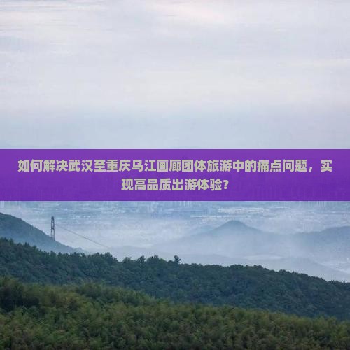 如何解决武汉至重庆乌江画廊团体旅游中的痛点问题，实现高品质出游体验？