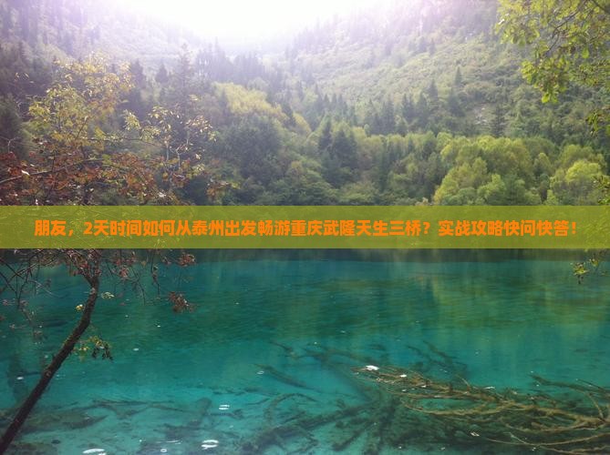 朋友，2天时间如何从泰州出发畅游重庆武隆天生三桥？实战攻略快问快答！