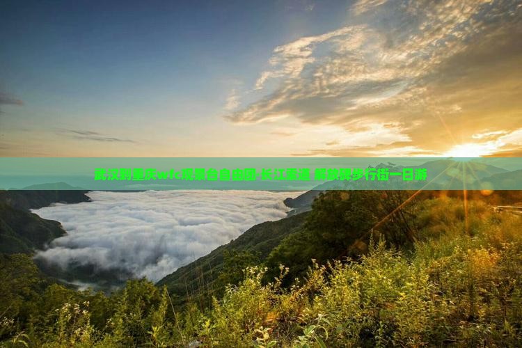 武汉到重庆wfc观景台自由团·长江索道+解放碑步行街一日游