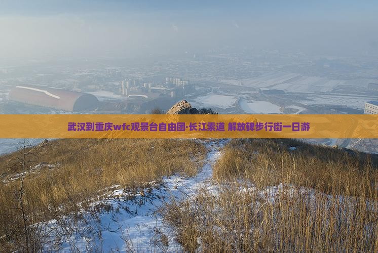 武汉到重庆wfc观景台自由团·长江索道+解放碑步行街一日游