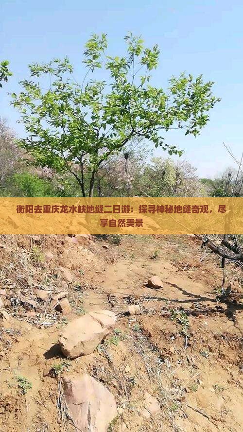 衡阳去重庆龙水峡地缝二日游