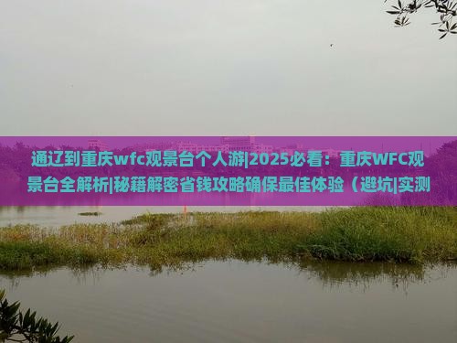 通辽到重庆wfc观景台个人游