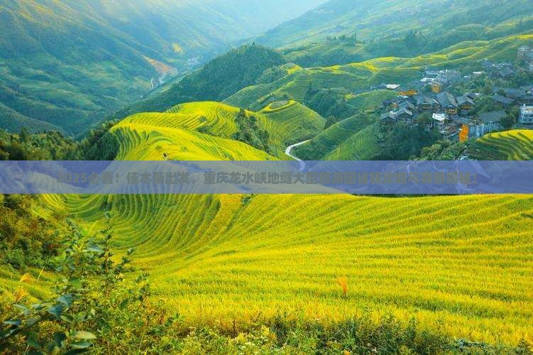佳木斯到重庆龙水峡地缝大型旅游团