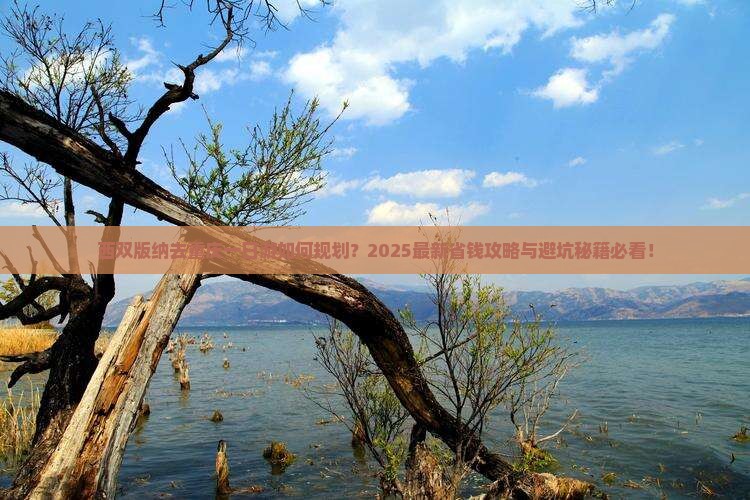 西双版纳去重庆一日