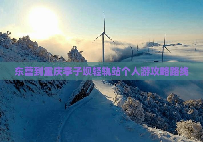 东营到重庆李子坝轻轨站个人游